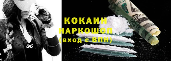индика Майский