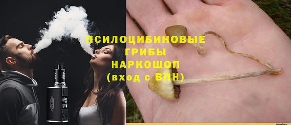 индика Майский