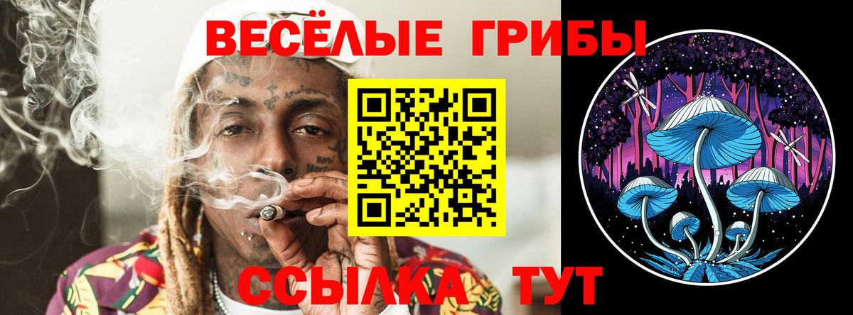 Брянск  Псилоцибиновые грибы ЛСД  Галлюциногенные грибы мицелий  закладка  Вход с VPN 