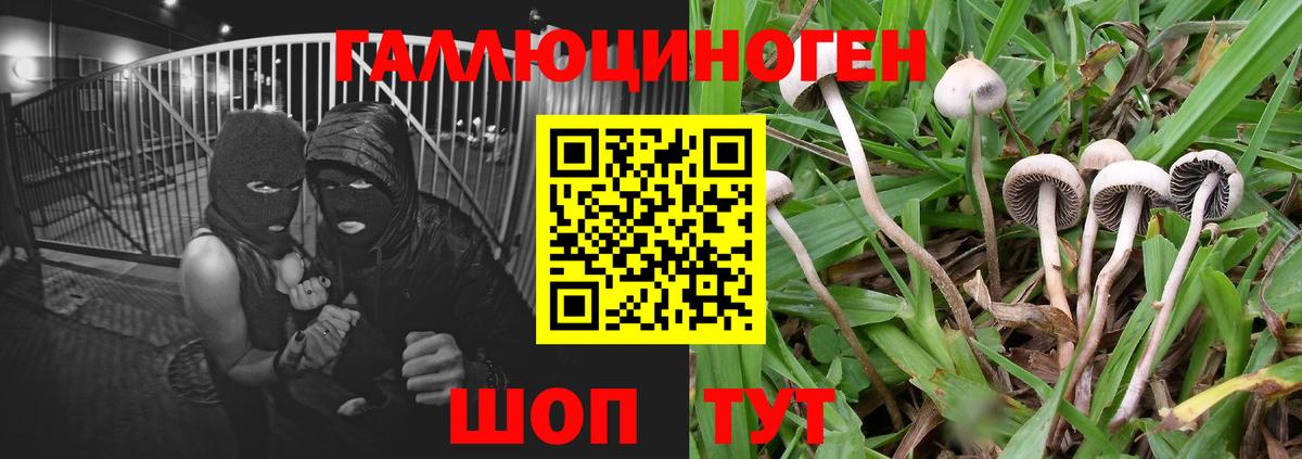 Галлюциногенные грибы мухоморы Брянск